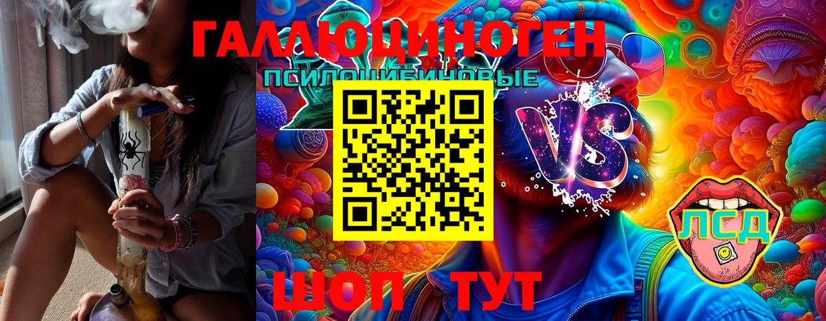 Псилоцибиновые грибы MAGIC MUSHROOMS  Вход с VPN  Костомукша 