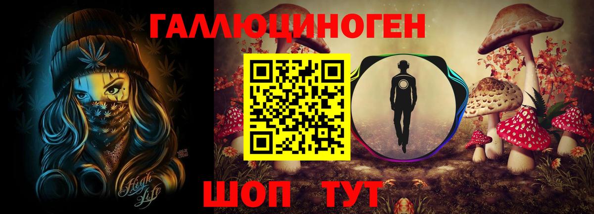 Галлюциногенные грибы Psilocybe Костомукша